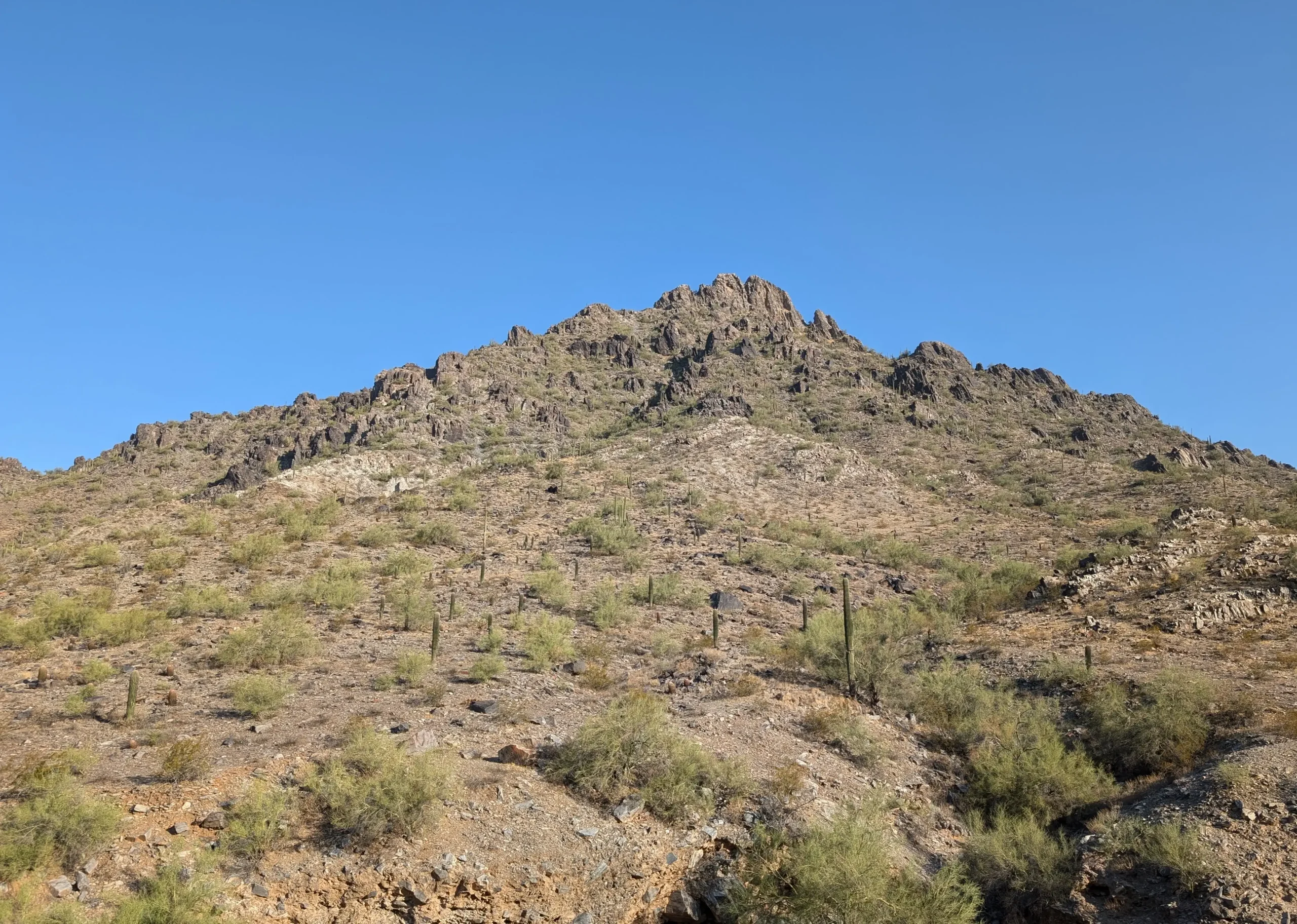 The steep desert terrain at Piestewa Peak.